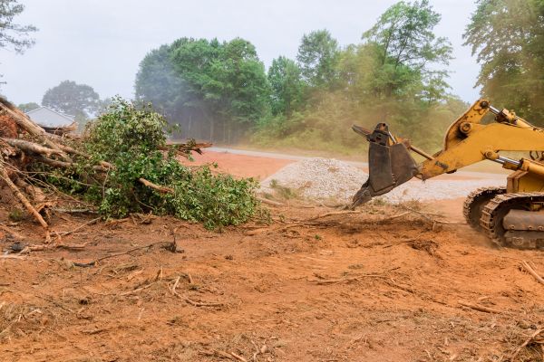 Ground Clearing in Olathe