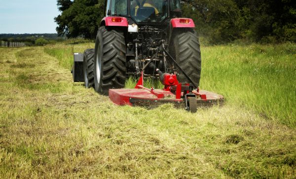 Brush Clearing Service in Olathe