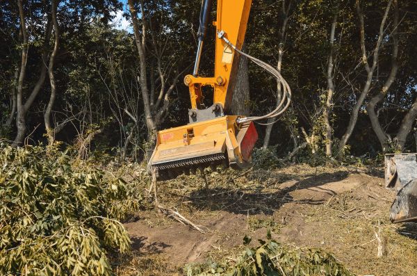 Brush Removal Service in Olathe