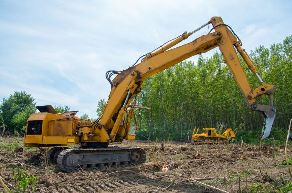 Farm Clearing in Olathe