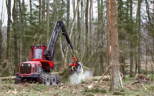 Forest Clearance Service in Olathe
