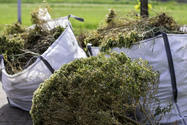 Bushes Clearing in Olathe