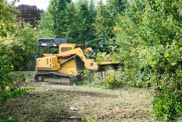 Pathway Clearing in Olathe