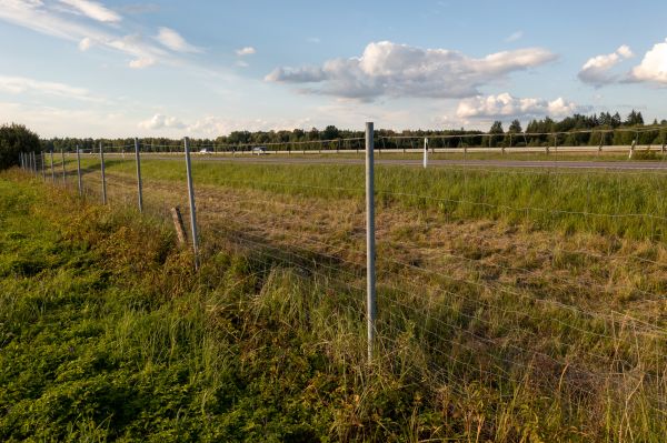 Property Line Clearing in Olathe