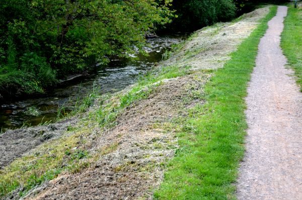 Trail Cutting in Olathe