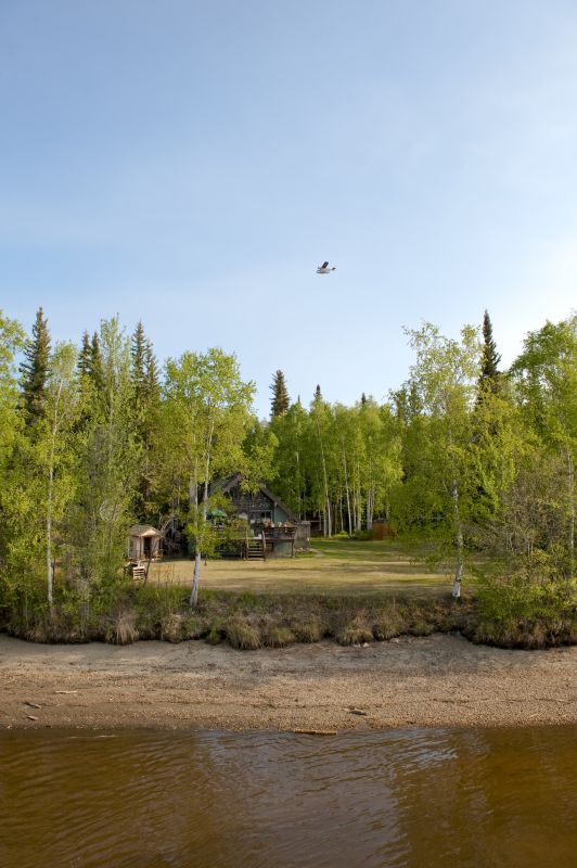 Brush and Debris Clearing