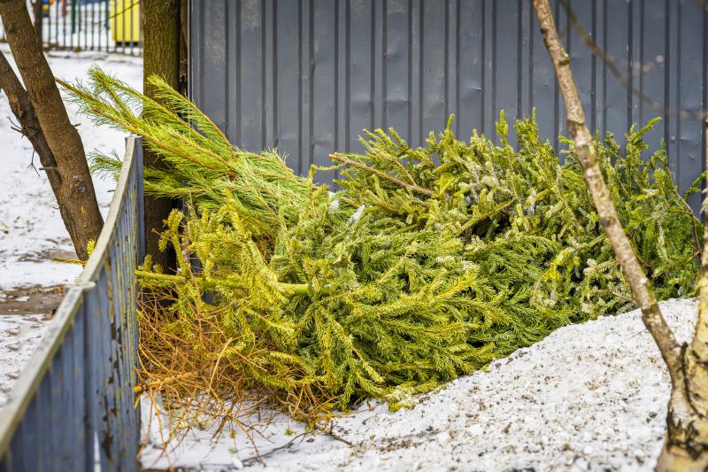 Debris Removal Services